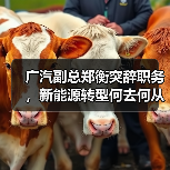 广汽副总郑衡突辞职务，新能源转型何去何从？（图2）