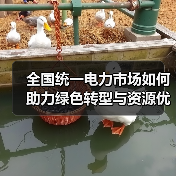 全国统一电力市场如何助力绿色转型与资源优化配置？（图3）