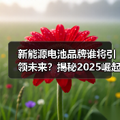 新能源电池品牌谁将引领未来？揭秘2025崛起黑马（图4）