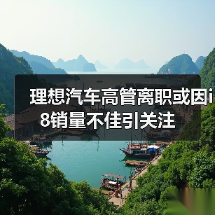 理想汽车高管离职或因i8销量不佳引关注（图1）