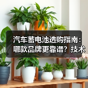 汽车蓄电池选购指南：哪款品牌更靠谱？技术揭秘（图2）
