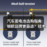 汽车蓄电池选购指南：哪款品牌更靠谱？技术揭秘（图3）