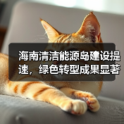 海南清洁能源岛建设提速，绿色转型成果显著（图2）