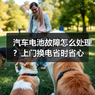 汽车电池故障怎么处理？上门换电省时省心（图2）