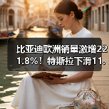 比亚迪欧洲销量激增221.8%！特斯拉下滑11.8%背后真相（图2）