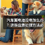 汽车蓄电池没电怎么办？这些应急处理方法必须掌握！（图4）
