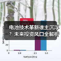 电池技术革新谁主沉浮？未来投资风口全解析（图2）
