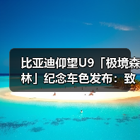 比亚迪仰望U9「极境森林」纪念车色发布：致敬纽北登顶传奇（图3）