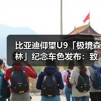 比亚迪仰望U9「极境森林」纪念车色发布：致敬纽北登顶传奇（图4）