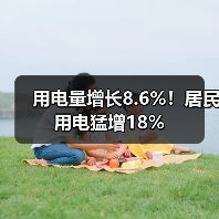 用电量增长8.6%！居民用电猛增18%（图4）