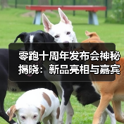 零跑十周年发布会神秘揭晓：新品亮相与嘉宾惊喜