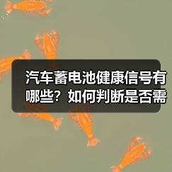汽车蓄电池健康信号有哪些？如何判断是否需要更换（图4）