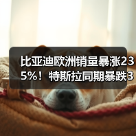 比亚迪欧洲销量暴涨235%！特斯拉同期暴跌34%（图4）