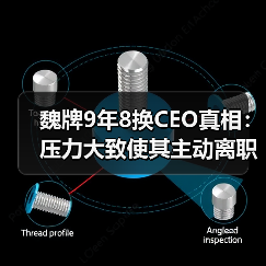 魏牌9年8换CEO真相：压力大致使其主动离职？（图2）