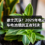 谁主沉浮？2025年电动车电池续航王者对决（图4）