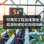 特高压工程加速落地 新能源投资如何向绿向新？