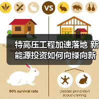 特高压工程加速落地 新能源投资如何向绿向新?(图3) 特高压工程加速落地 新能源投资如何向绿向新?(图3)