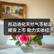 推动液化天然气等能源期货上市 助力实体经济发展（图4）
