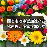 固态电池中试加速产业化进程，多家企业布局量产前关键阶段（图1）