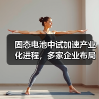 固态电池中试加速产业化进程，多家企业布局量产前关键阶段（图4）