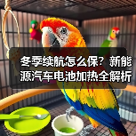 冬季续航怎么保？新能源汽车电池加热全解析