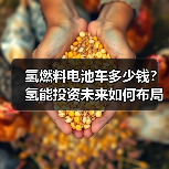 氢燃料电池车多少钱？氢能投资未来如何布局？（图3）