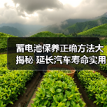 蓄电池保养正确方法大揭秘 延长汽车寿命实用技巧（图4）