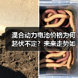 混合动力电池价格为何起伏不定?未来走势如何?(图3) 混合动力电池价格为何起伏不定?未来走势如何?(图3)