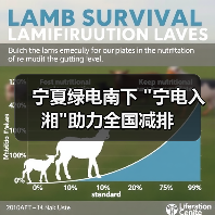 宁夏绿电南下 宁夏绿电南下