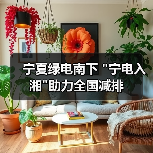 宁夏绿电南下 