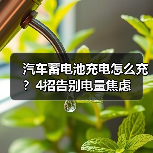 汽车蓄电池充电怎么充?4招告别电量焦虑(图3) 汽车蓄电池充电怎么充?4招告别电量焦虑(图3)