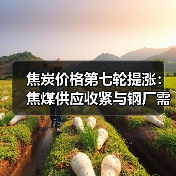 焦炭价格第七轮提涨:焦煤供应收紧与钢厂需求支撑(图4) 焦炭价格第七轮提涨:焦煤供应收紧与钢厂需求支撑(图4)