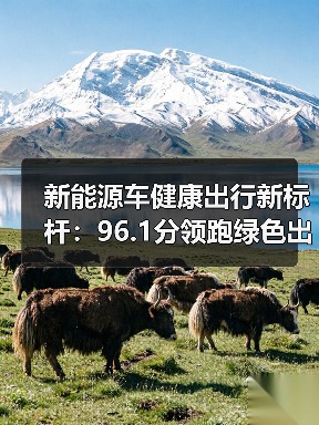新能源车健康出行新标杆:96.1分领跑绿色出行(图4) 新能源车健康出行新标杆:96.1分领跑绿色出行(图4)