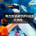 电力攻坚战守护兴化防汛防线(图2) 电力攻坚战守护兴化防汛防线(图2)