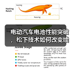 电动汽车电池性能突破,松下技术如何改变续航与安全?(图3) 电动汽车电池性能突破,松下技术如何改变续航与安全?(图3)