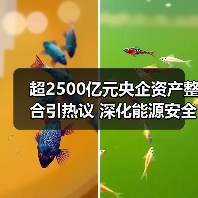 超2500亿元央企资产整合引热议 深化能源安全战略(图3) 超2500亿元央企资产整合引热议 深化能源安全战略(图3)