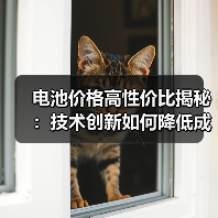 电池价格高性价比揭秘：技术创新如何降低成本？（图4）