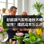 新能源汽车电池技术哪家强?续航成本怎么选(图4) 新能源汽车电池技术哪家强?续航成本怎么选(图4)