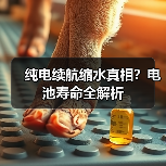 纯电续航缩水真相?电池寿命全解析(图2) 纯电续航缩水真相?电池寿命全解析(图2)