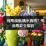 纯电续航缩水真相?电池寿命全解析(图3) 纯电续航缩水真相?电池寿命全解析(图3)
