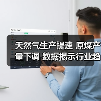 天然气生产提速 原煤产量下调 数据揭示行业趋势（图2）