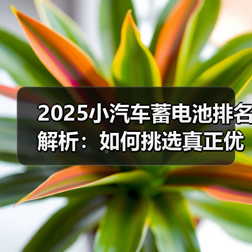 2025小汽车蓄电池排名解析:如何挑选真正优品?(图4) 2025小汽车蓄电池排名解析:如何挑选真正优品?(图4)