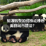能源转型如何推动绿色美丽城市建设?(图3) 能源转型如何推动绿色美丽城市建设?(图3)