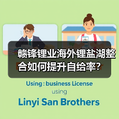 赣锋锂业海外锂盐湖整合如何提升自给率?(图1) 赣锋锂业海外锂盐湖整合如何提升自给率?(图1)