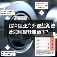 赣锋锂业海外锂盐湖整合如何提升自给率?(图2) 赣锋锂业海外锂盐湖整合如何提升自给率?(图2)