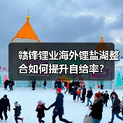 赣锋锂业海外锂盐湖整合如何提升自给率?(图3) 赣锋锂业海外锂盐湖整合如何提升自给率?(图3)