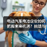 电动汽车电池企业如何把握未来机遇？挑战与行业前景深度解析（图4）