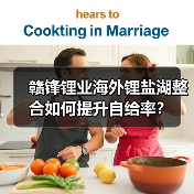 赣锋锂业海外锂盐湖整合如何提升自给率?(图4) 赣锋锂业海外锂盐湖整合如何提升自给率?(图4)