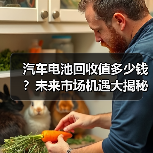 汽车电池回收值多少钱?未来市场机遇大揭秘(图4) 汽车电池回收值多少钱?未来市场机遇大揭秘(图4)