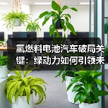 氢燃料电池汽车破局关键：绿动力如何引领未来交通？（图1）